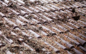 Cyntwell roof cleaning companies